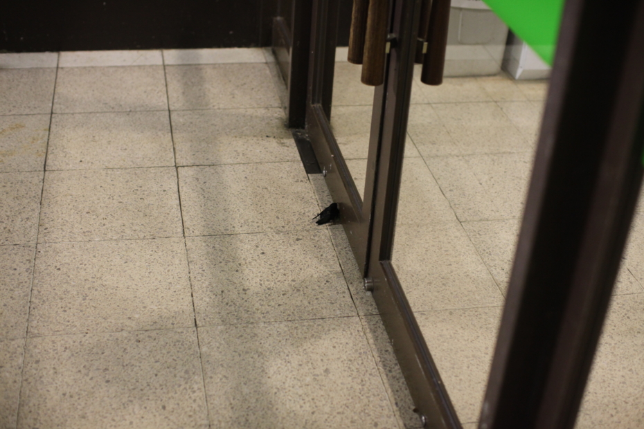 f:id:MAREOSIEV:20120812011723j:image f:id:MAREOSIEV:20120812011723j:image
