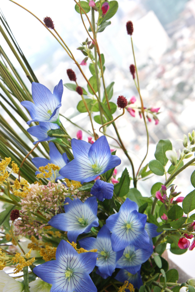 f:id:MAREOSIEV:20130120195005j:image