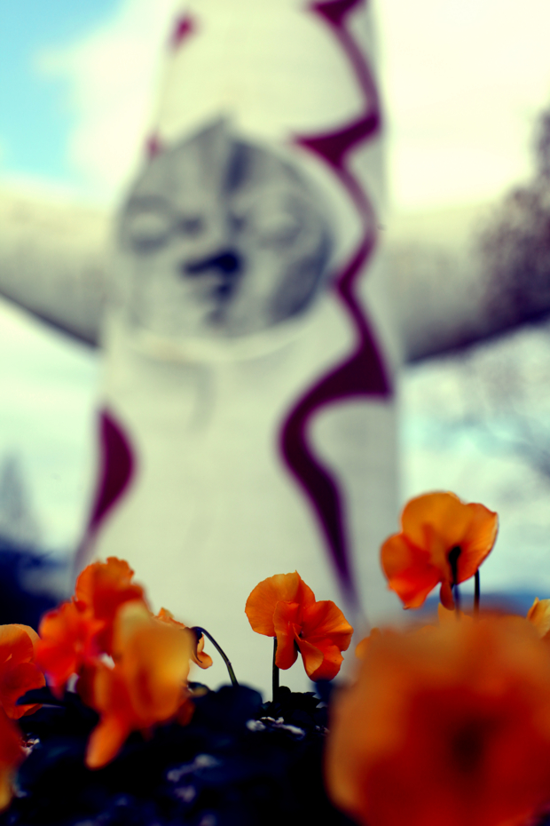 f:id:MAREOSIEV:20130320131050j:image f:id:MAREOSIEV:20130320131050j:image