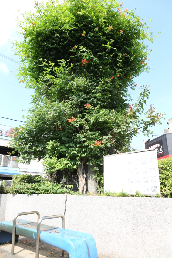f:id:MAREOSIEV:20130623163102j:image