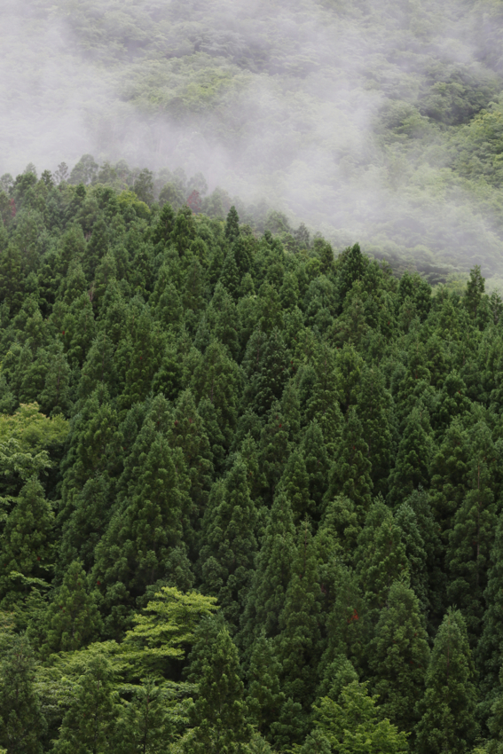 f:id:MAREOSIEV:20130630172008j:image