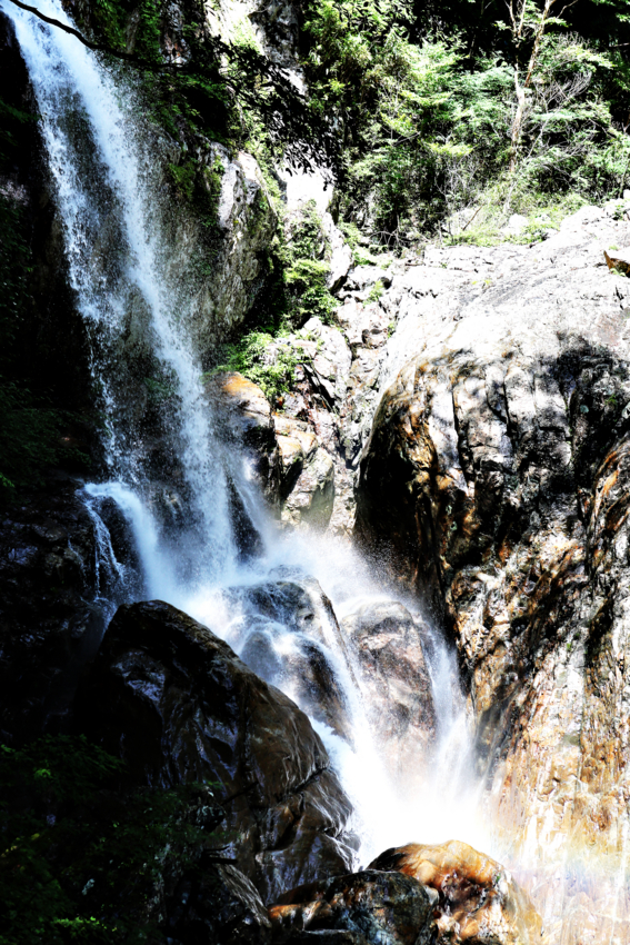 f:id:MAREOSIEV:20130701222832j:image