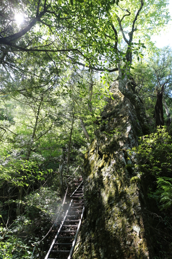 f:id:MAREOSIEV:20130701222835j:image