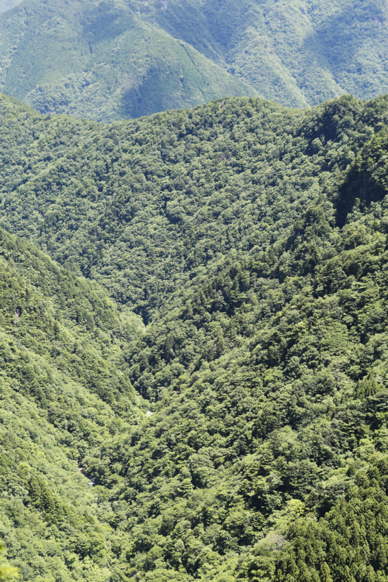 f:id:MAREOSIEV:20130701222840j:image