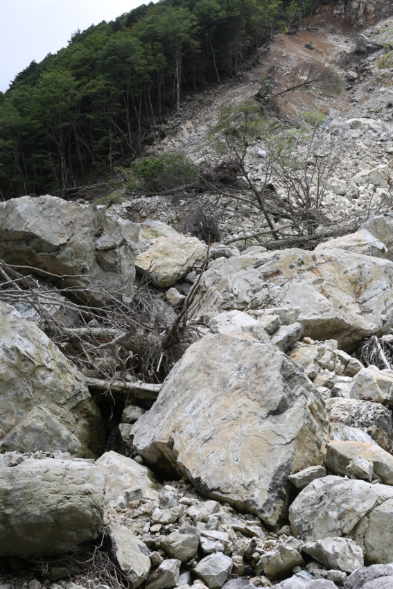 f:id:MAREOSIEV:20130701222849j:image