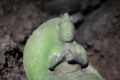 20130927182629