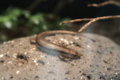 20131104151802