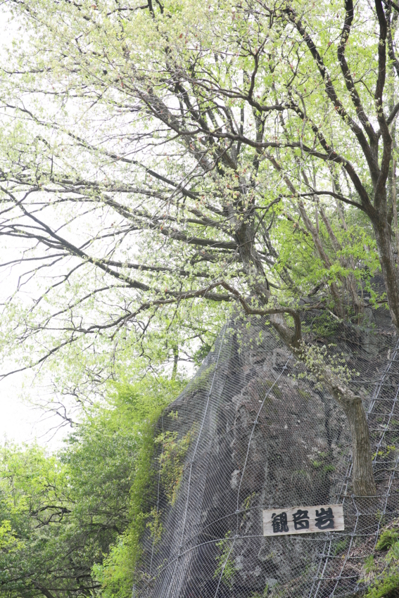 f:id:MAREOSIEV:20140511161114j:plain
