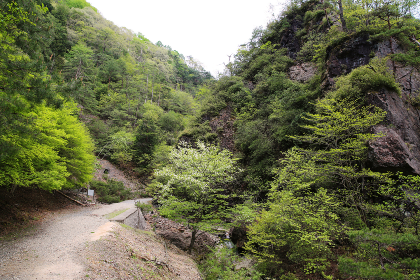 f:id:MAREOSIEV:20140512230853j:plain