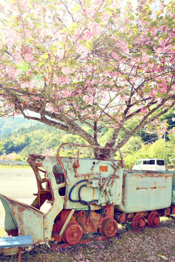 f:id:MAREOSIEV:20140515230011j:plain