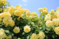 20140526232313