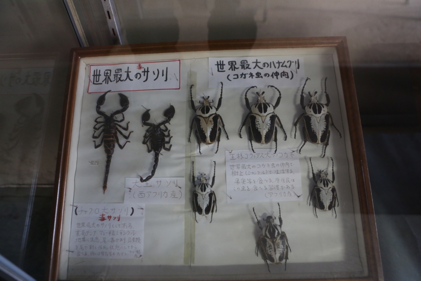f:id:MAREOSIEV:20140623232224j:plain