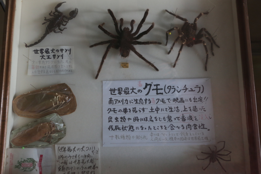 f:id:MAREOSIEV:20140623232241j:plain