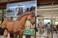 20140807235632