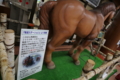 20140807235633