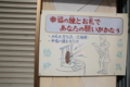 20140807235639