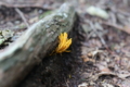 20141005235206