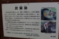 20141005235207