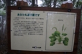 20141005235214