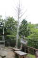20141005235224