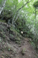 20141007230720