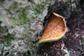 20141007230721