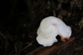20141007230725