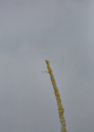 20141221135010