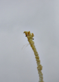 20141221135011