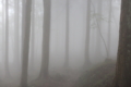 20150102141431