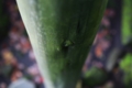 20150112231256