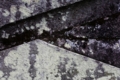 20150112231311