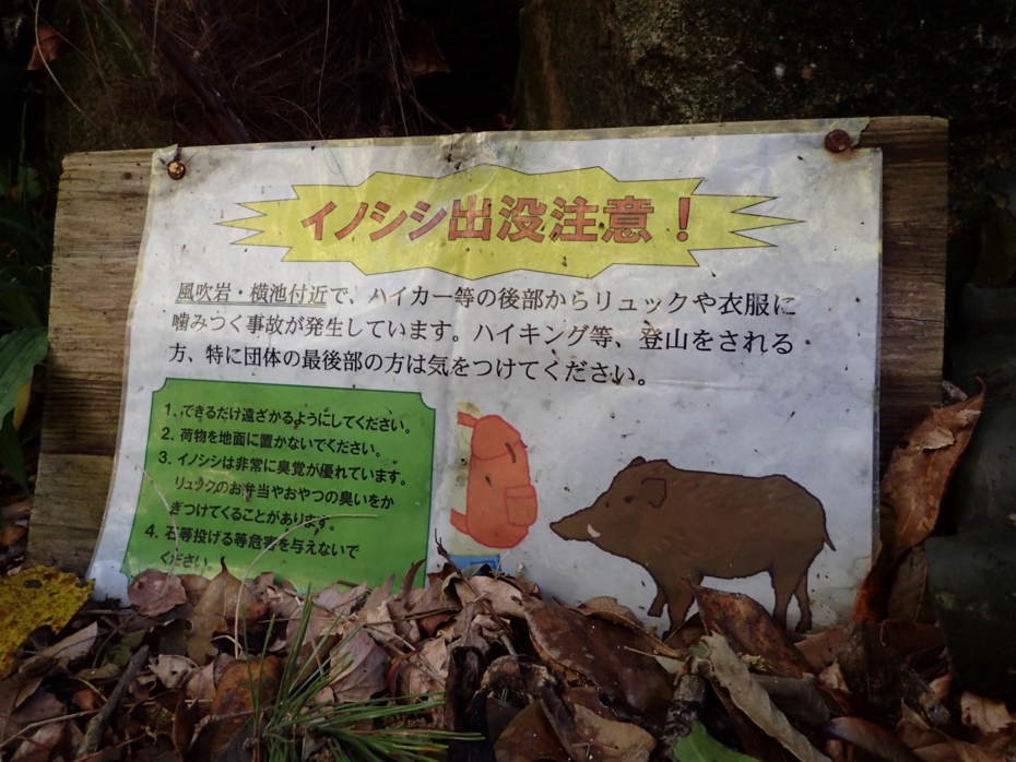 f:id:MAREOSIEV:20150607175405j:plain