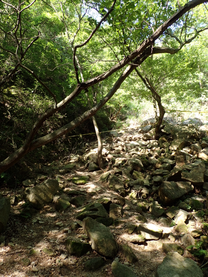 f:id:MAREOSIEV:20150607175409j:plain