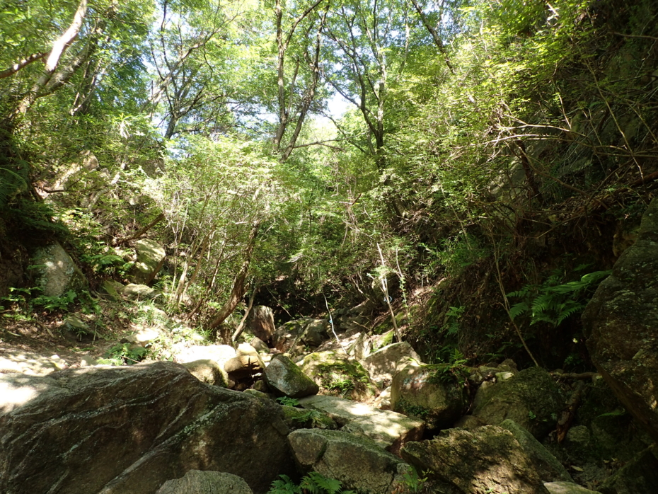 f:id:MAREOSIEV:20150607175410j:plain