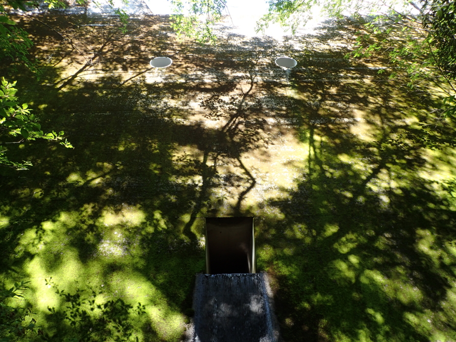 f:id:MAREOSIEV:20150607175418j:plain