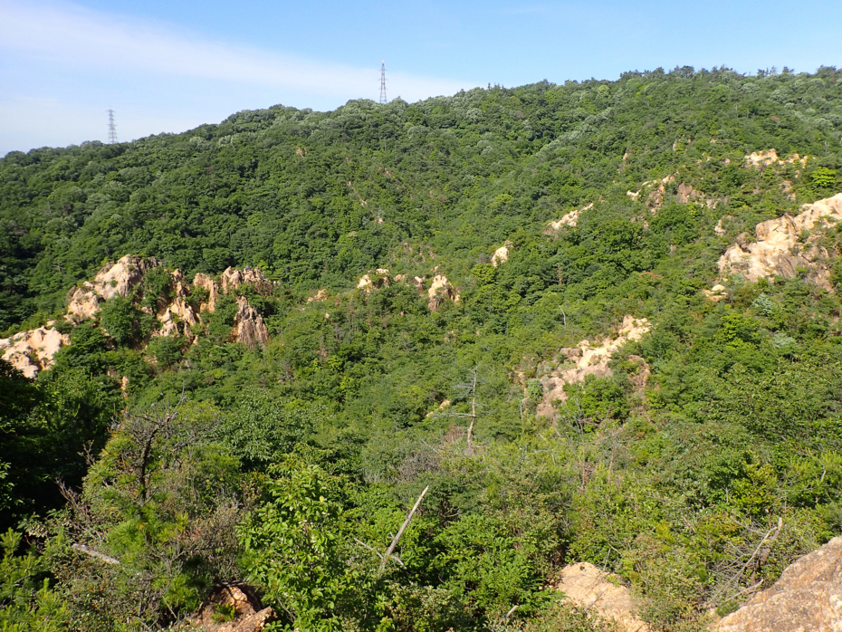 f:id:MAREOSIEV:20150607175427j:plain
