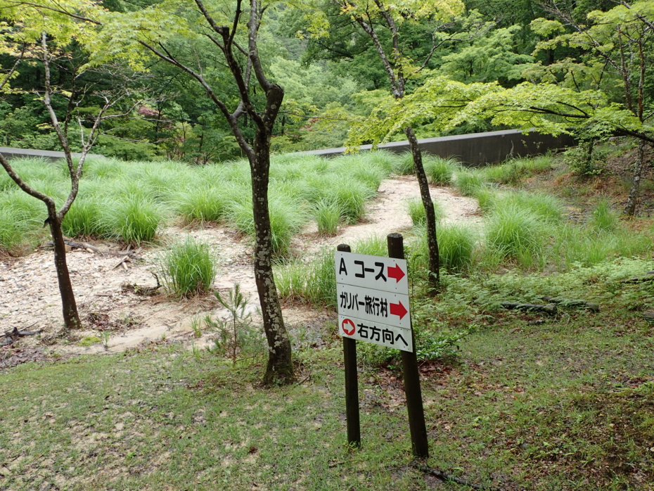 f:id:MAREOSIEV:20150627074831j:plain f:id:MAREOSIEV:20150627074831j:plain