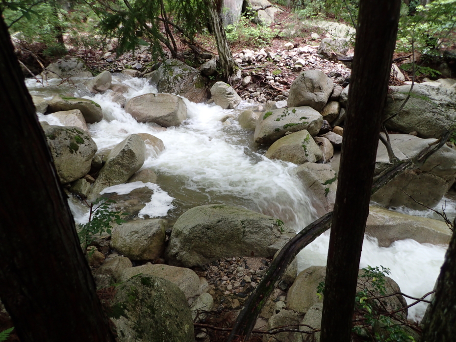 f:id:MAREOSIEV:20150627074833j:plain f:id:MAREOSIEV:20150627074833j:plain