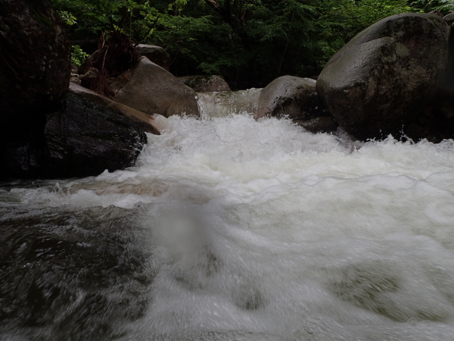 f:id:MAREOSIEV:20150627074835j:plain f:id:MAREOSIEV:20150627074835j:plain