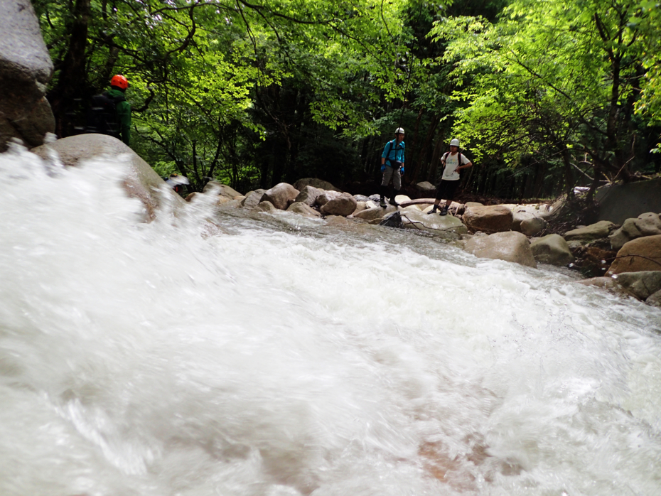f:id:MAREOSIEV:20150627074836j:plain f:id:MAREOSIEV:20150627074836j:plain