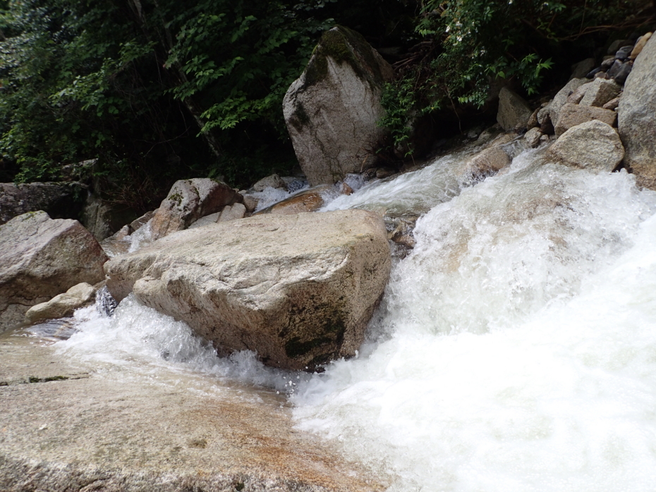 f:id:MAREOSIEV:20150627074847j:plain