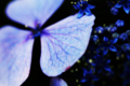 20150716232335