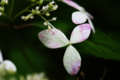 20150716232343
