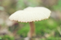 20150716232345
