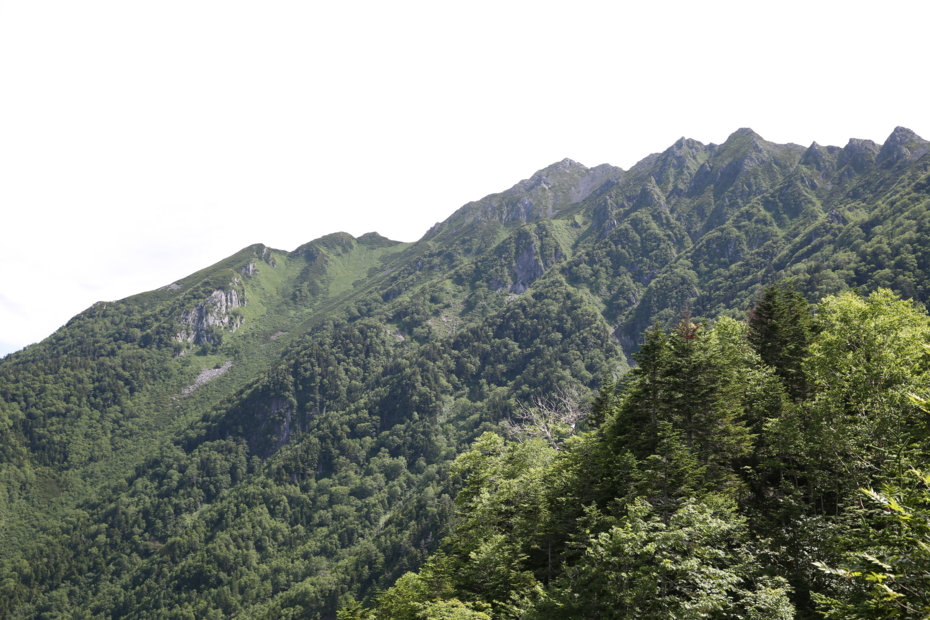 f:id:MAREOSIEV:20150727122532j:plain