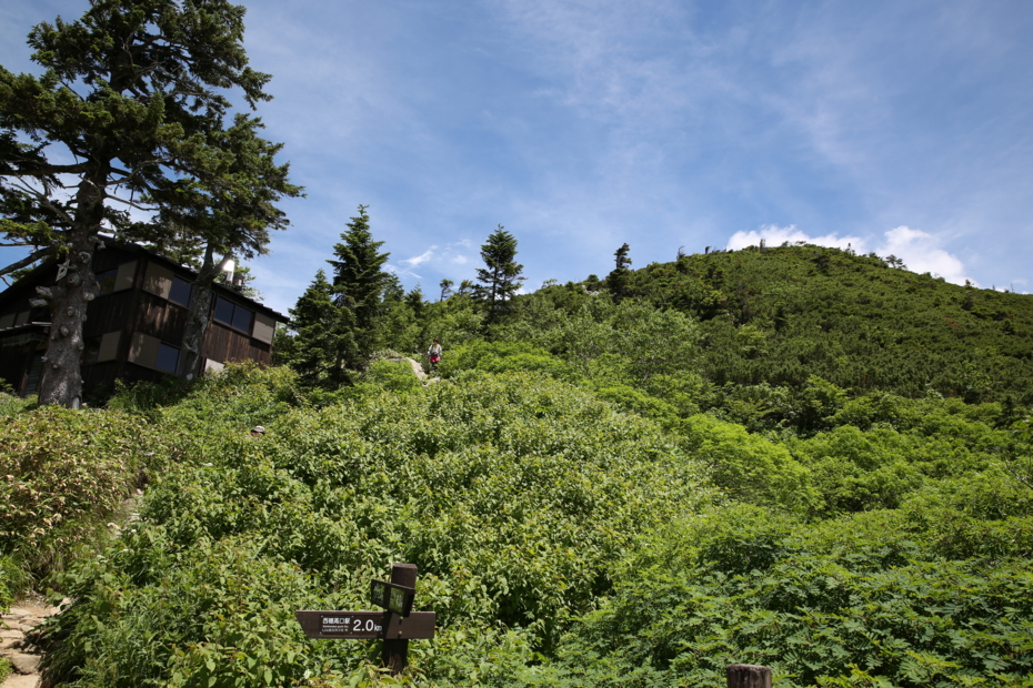 f:id:MAREOSIEV:20150727122536j:plain