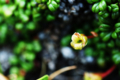 20150924155231