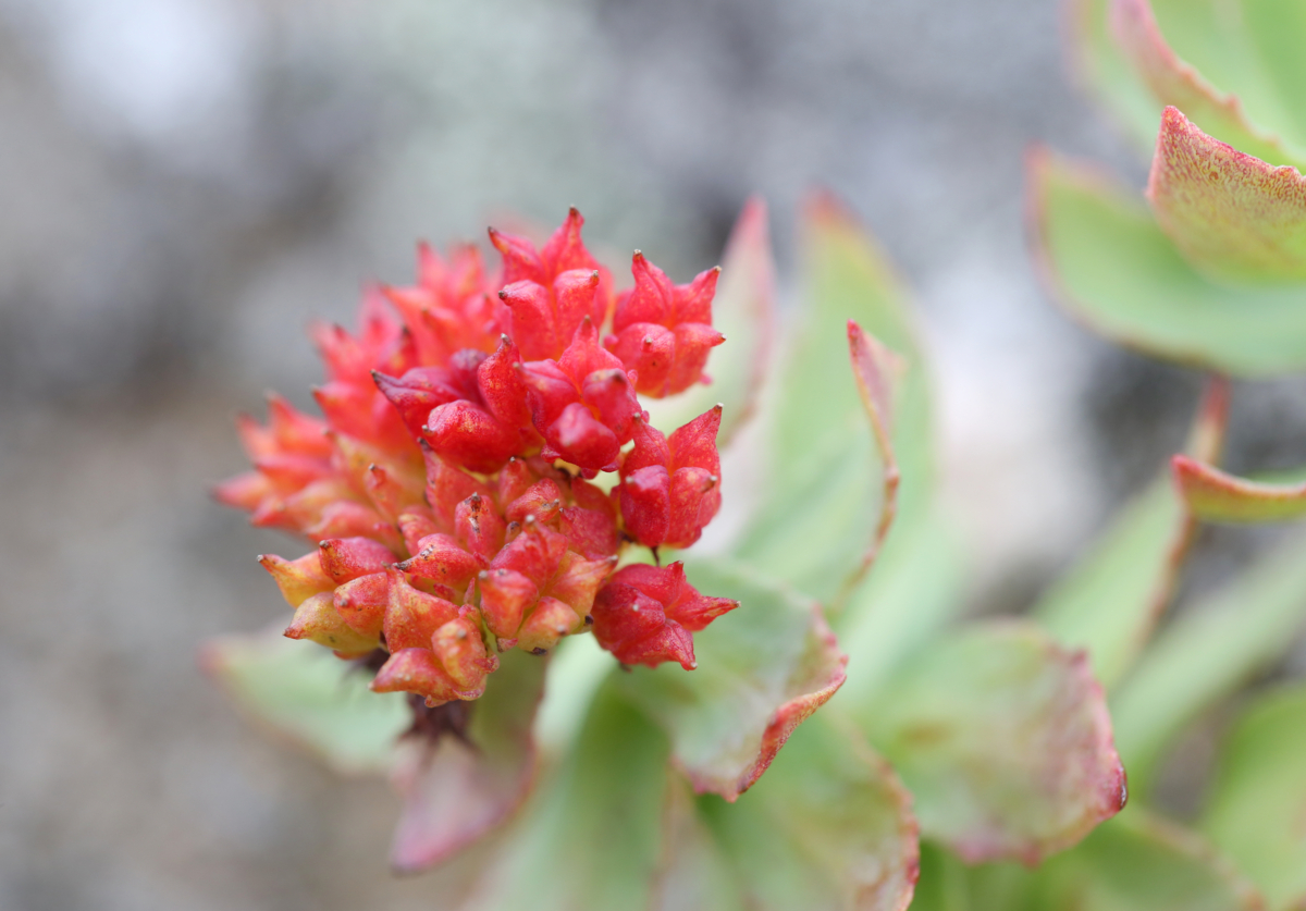 f:id:MAREOSIEV:20150924155232j:plain