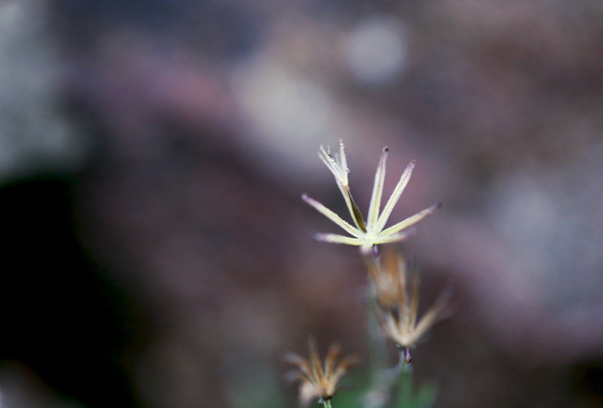 f:id:MAREOSIEV:20150924155247j:plain f:id:MAREOSIEV:20150924155247j:plain